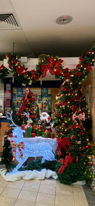 Festive display with a blue reindeer and Christmas decorations including poinsettias.
