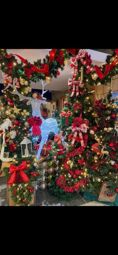 Festively decorated Christmas trees adorned with red bows and colourful ornaments.