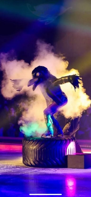 A performer in a bird costume stands on a stage with coloured lights and smoke.